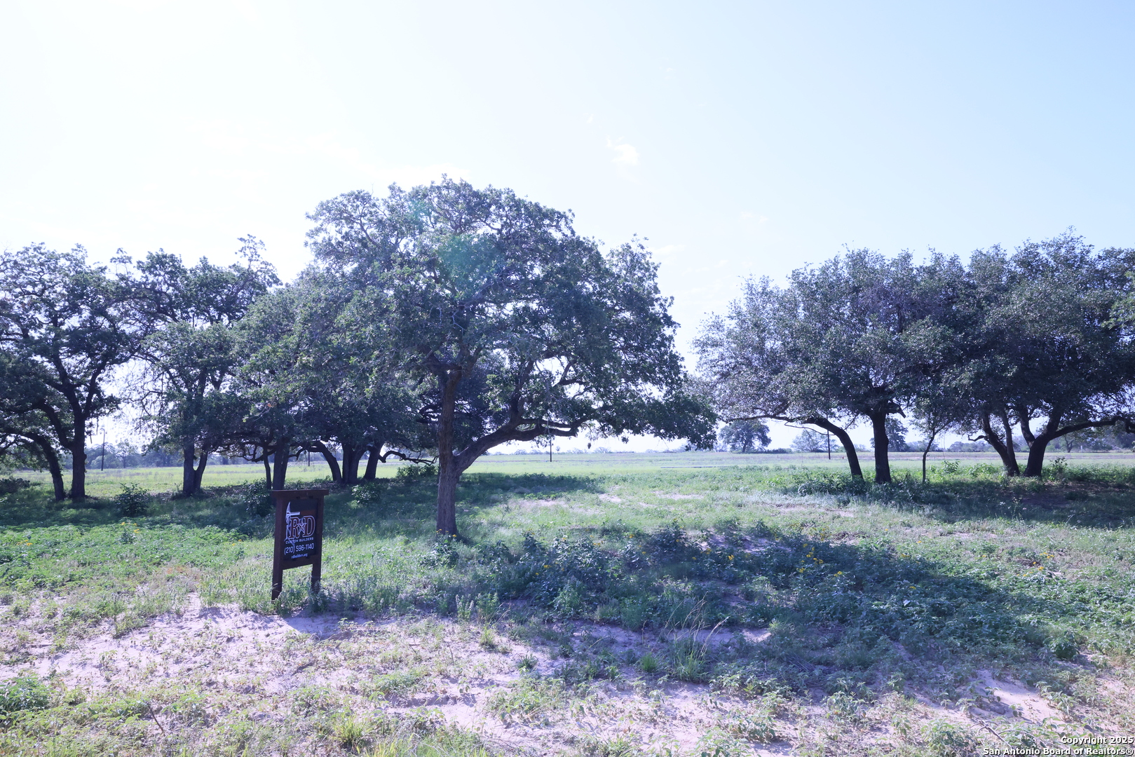 309 Firewheel Loop Floresville, TX 78114 - Photo 2 of 4 a view of a park with large trees