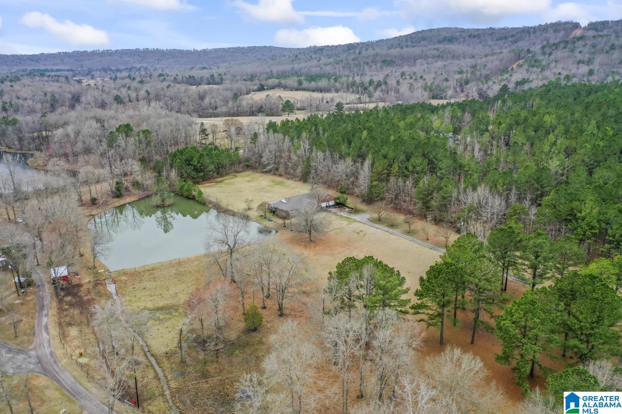 1726 Alston Farm Road Columbiana, AL 35051 - Photo 54 of 61