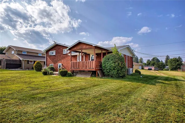 a large yard with large tree