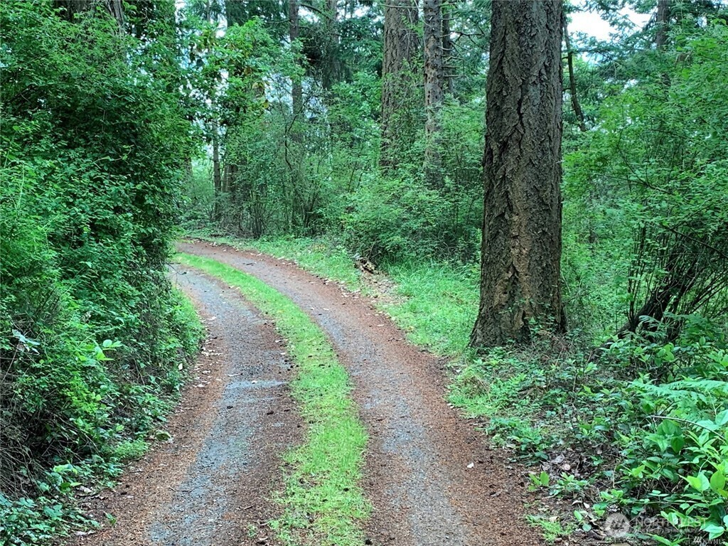 -xxx Polnell Road Oak Harbor, WA 98277 - Photo 8 of 13