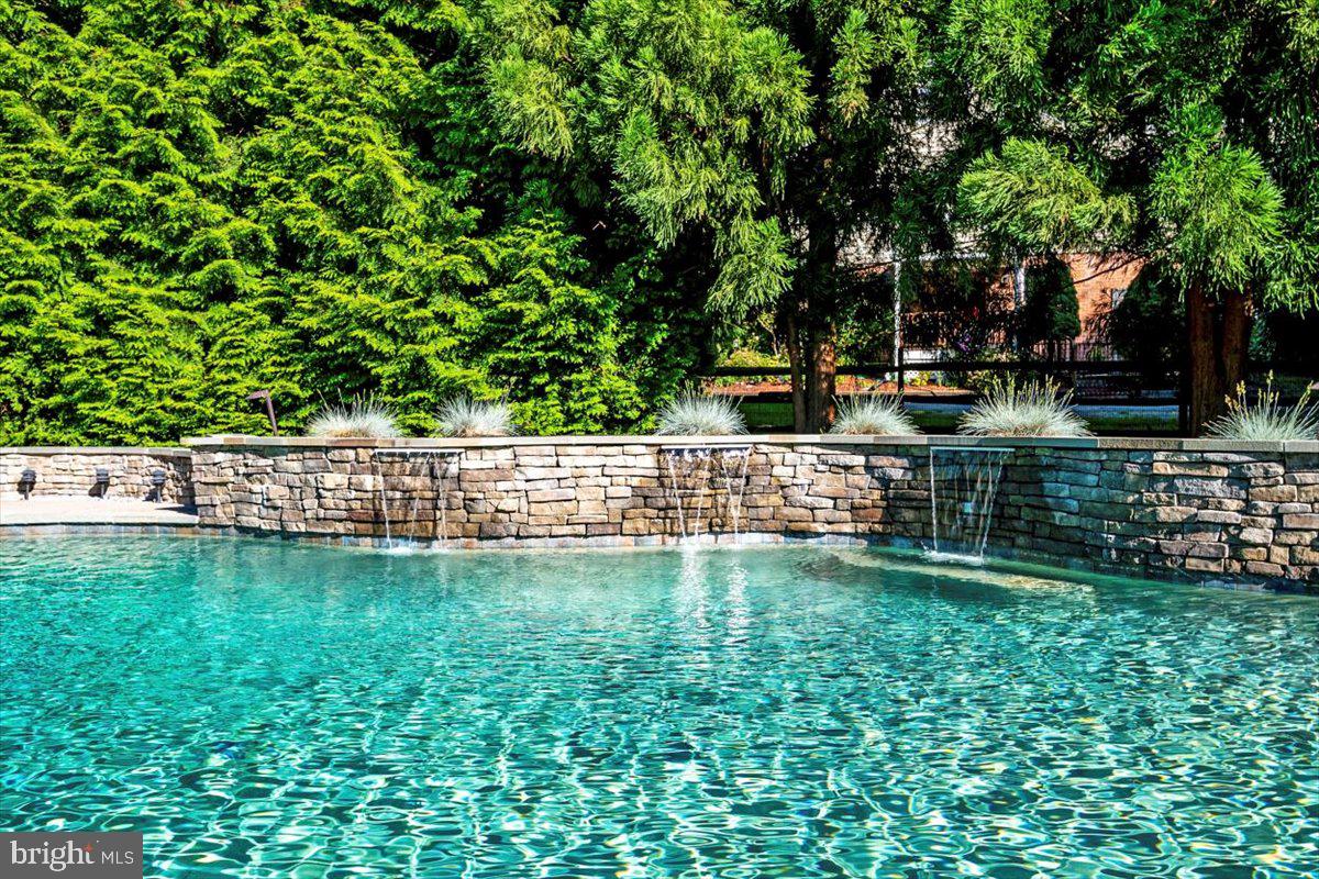 13717 Killarney Court Phoenix, MD 21131 - Photo 14 of 59 Pool w/Waterfall Feature