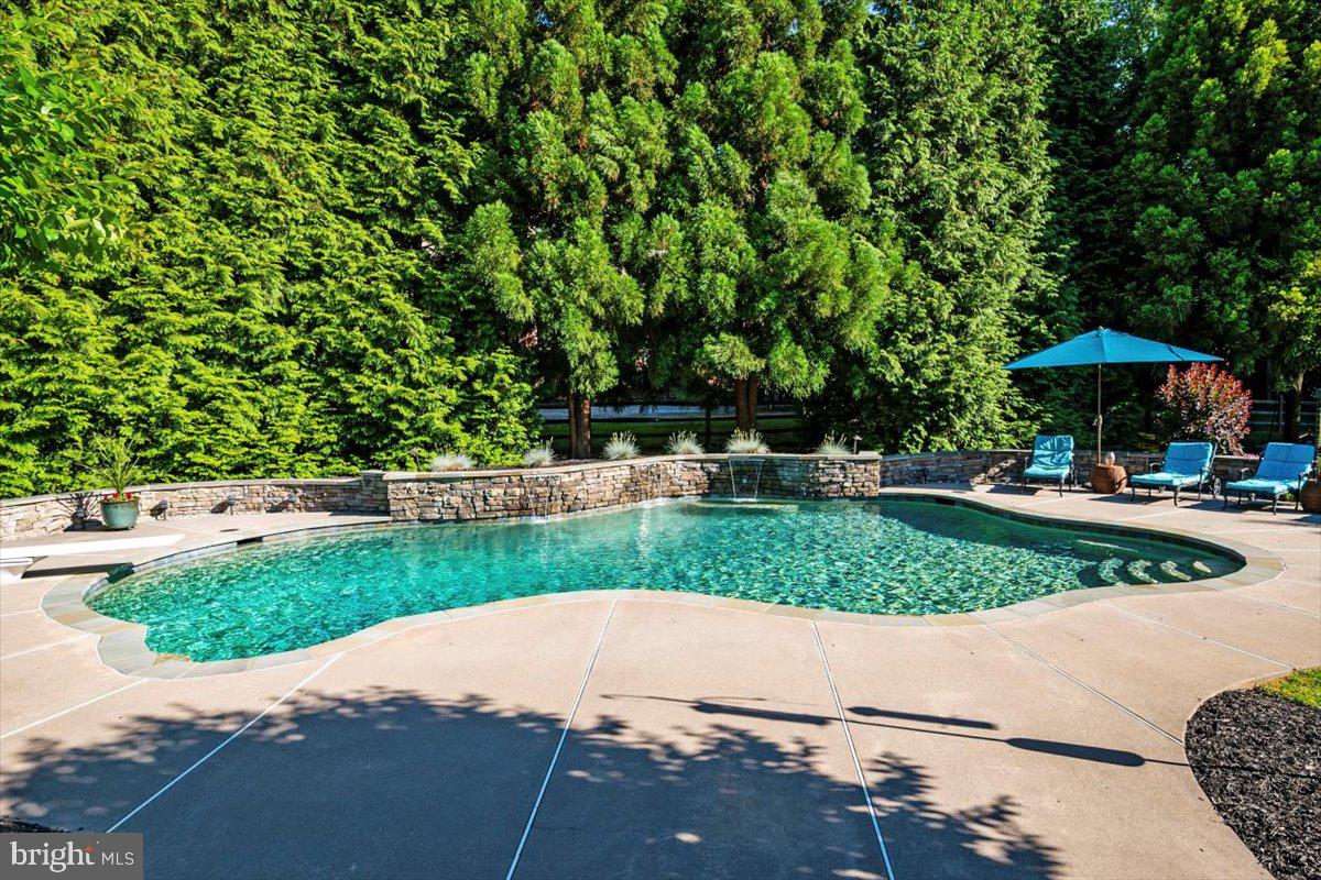 13717 Killarney Court Phoenix, MD 21131 - Photo 15 of 59 Pool