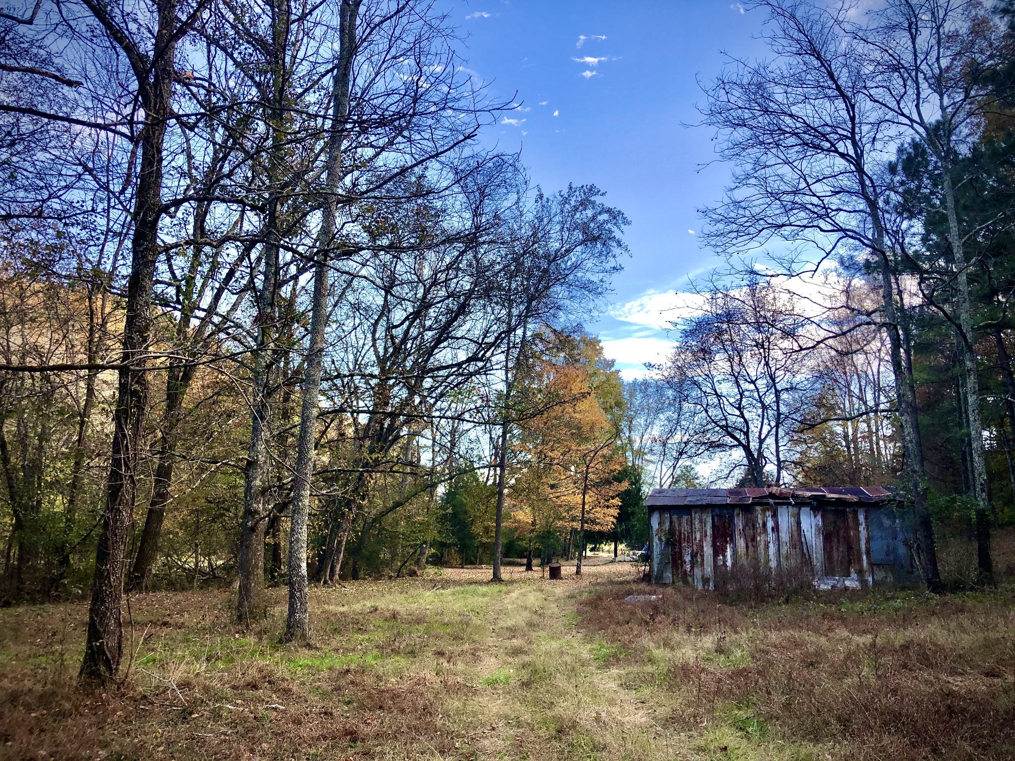 241 Mockerson Road Leoma, TN 38468 - Photo 12 of 43 a view of backyard with wooden fence and large trees