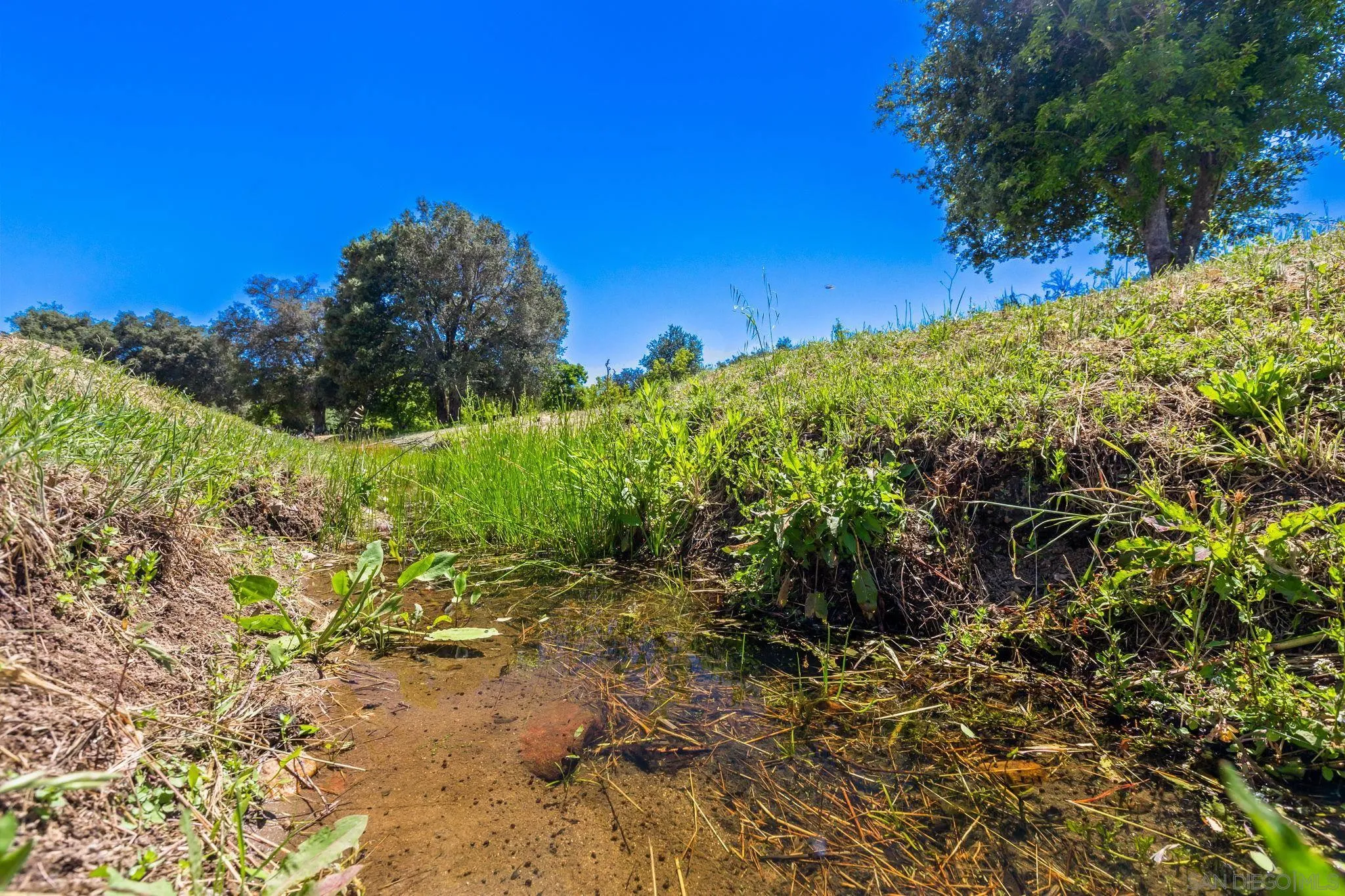 3841 Wynola Road Julian, CA 92036 - Photo 28 of 33 Gallery Image 28