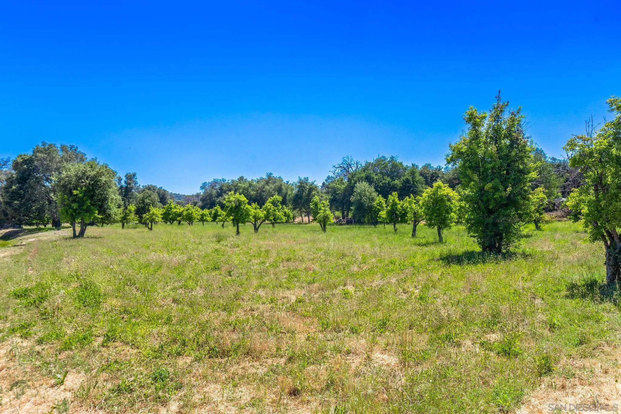 3841 Wynola Road Julian, CA 92036 - Photo 31 of 33 Gallery Image 31