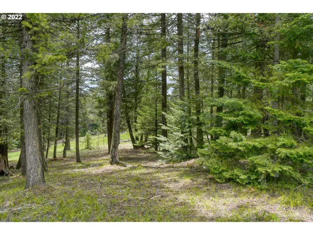 $175,000 | 69171 Forest Service 3030 Road, Meacham, OR 97859