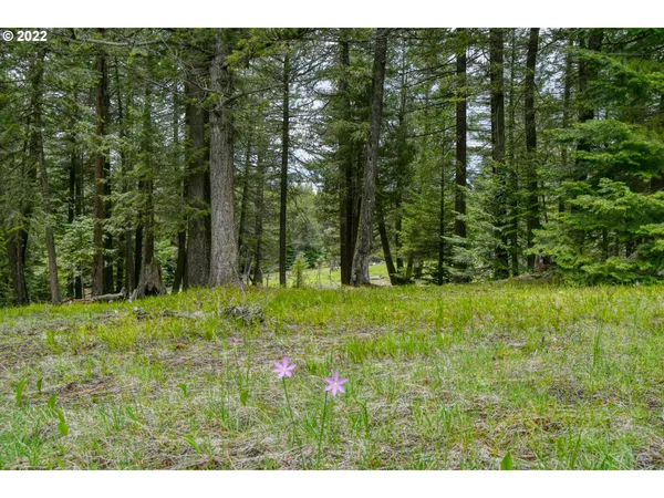 $175,000 | 69171 Forest Service 3030 Road, Meacham, OR 97859