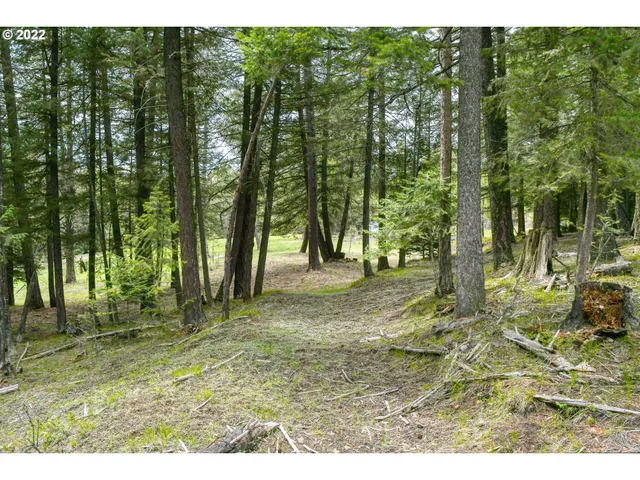 $175,000 | 69171 Forest Service 3030 Road, Meacham, OR 97859