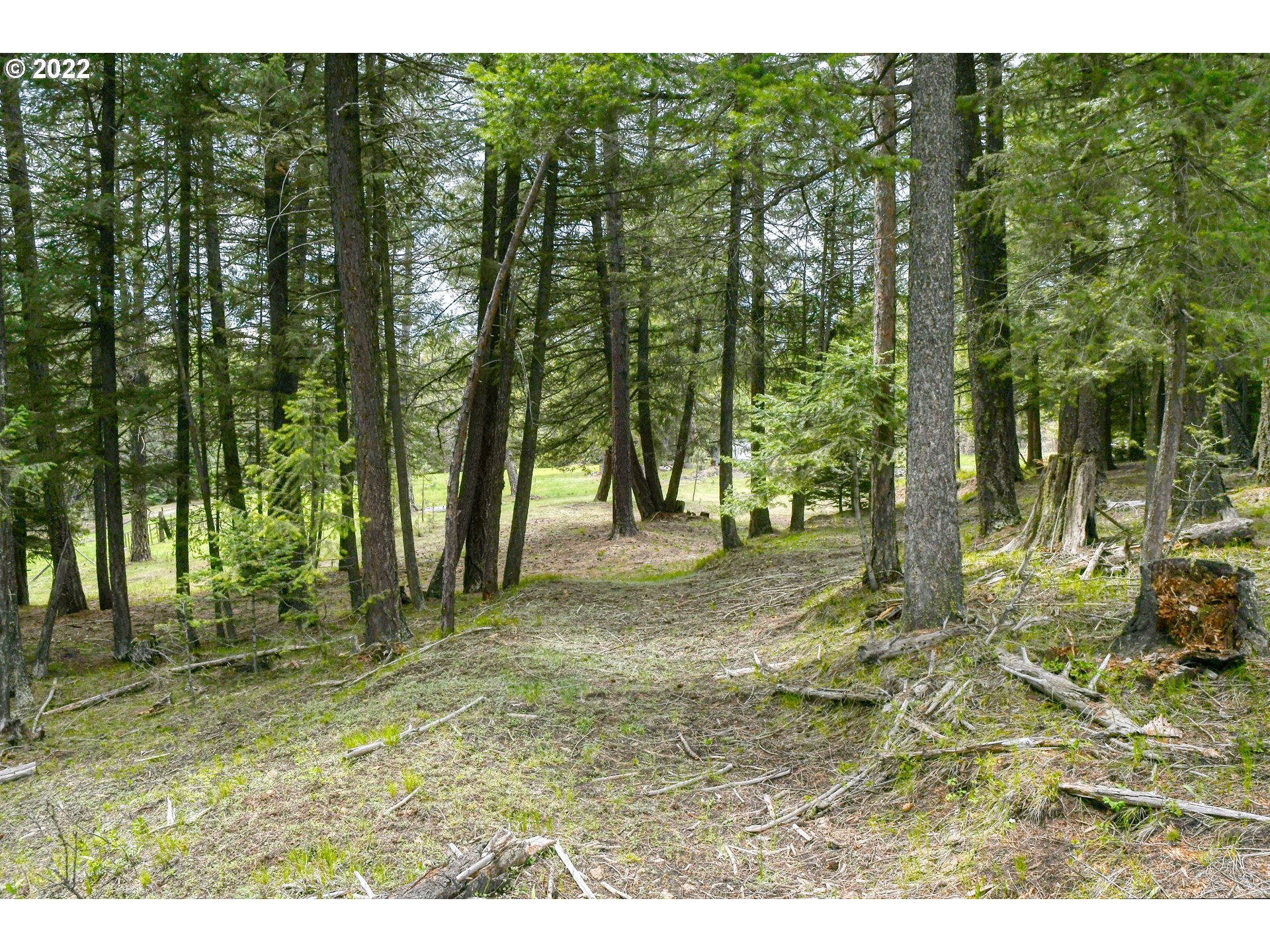 69171 Forest Service 3030 Road Meacham, OR 97859 - Photo 13 of 32