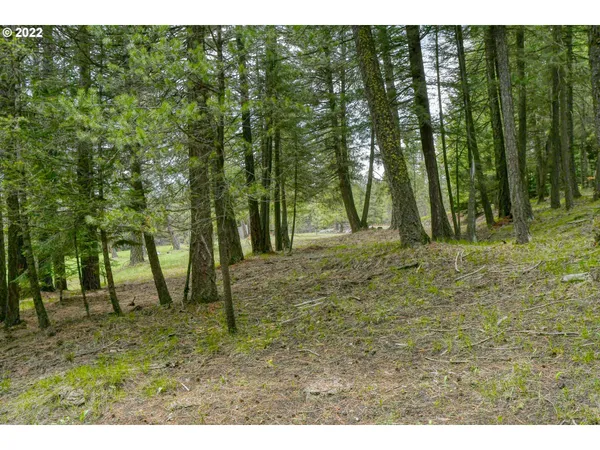 $175,000 | 69171 Forest Service 3030 Road, Meacham, OR 97859