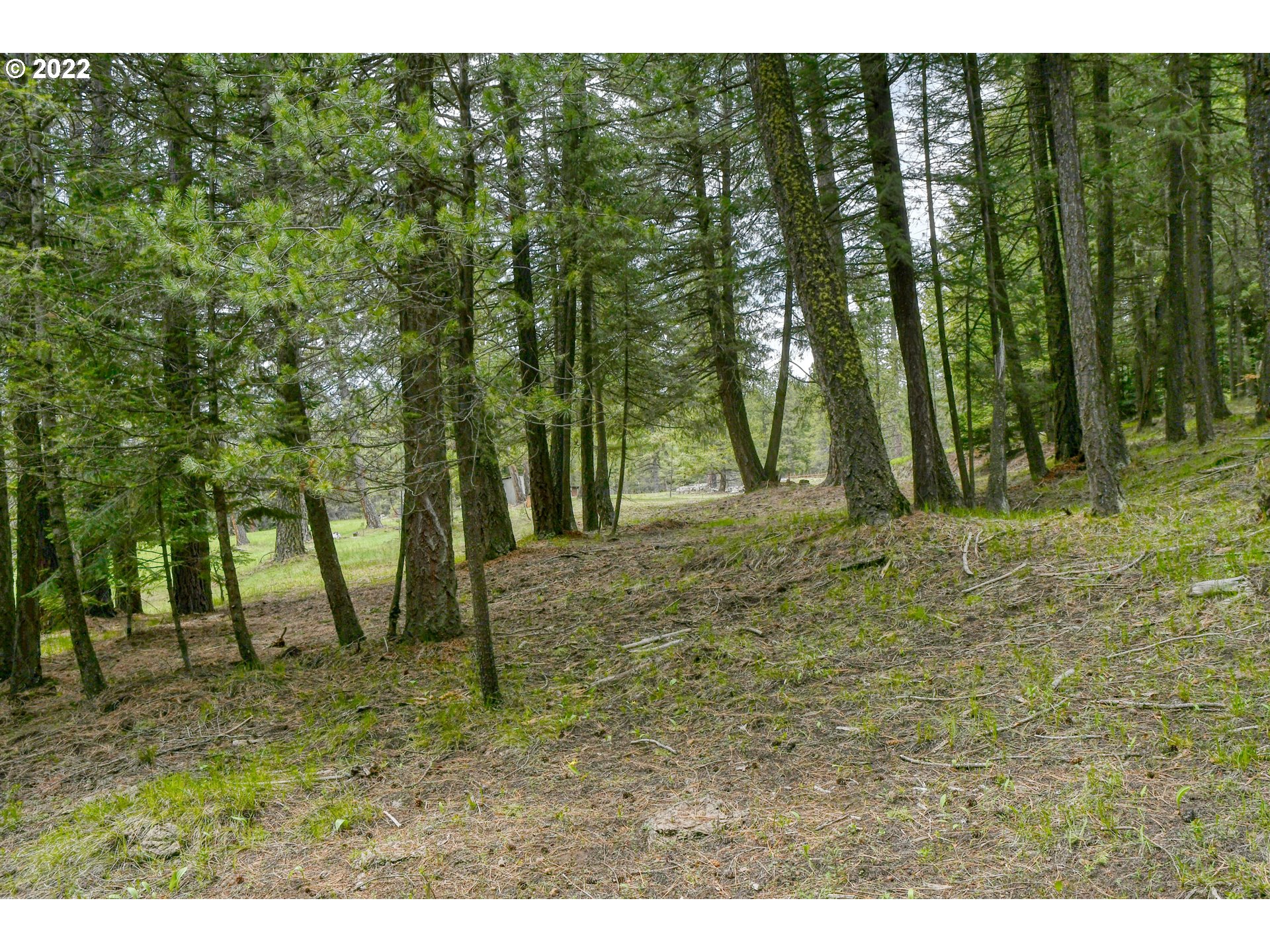 69171 Forest Service 3030 Road Meacham, OR 97859 - Photo 14 of 32