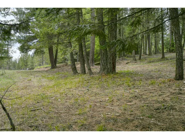 $175,000 | 69171 Forest Service 3030 Road, Meacham, OR 97859