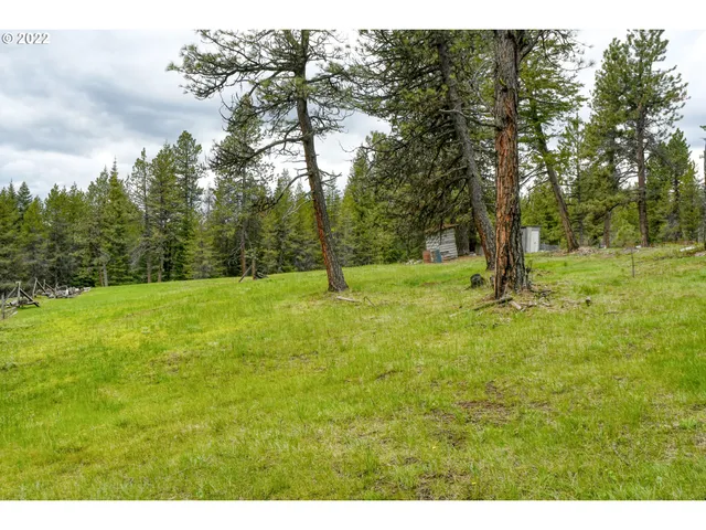 $175,000 | 69171 Forest Service 3030 Road, Meacham, OR 97859