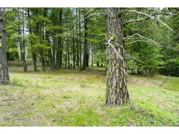 $175,000 | 69171 Forest Service 3030 Road, Meacham, OR 97859