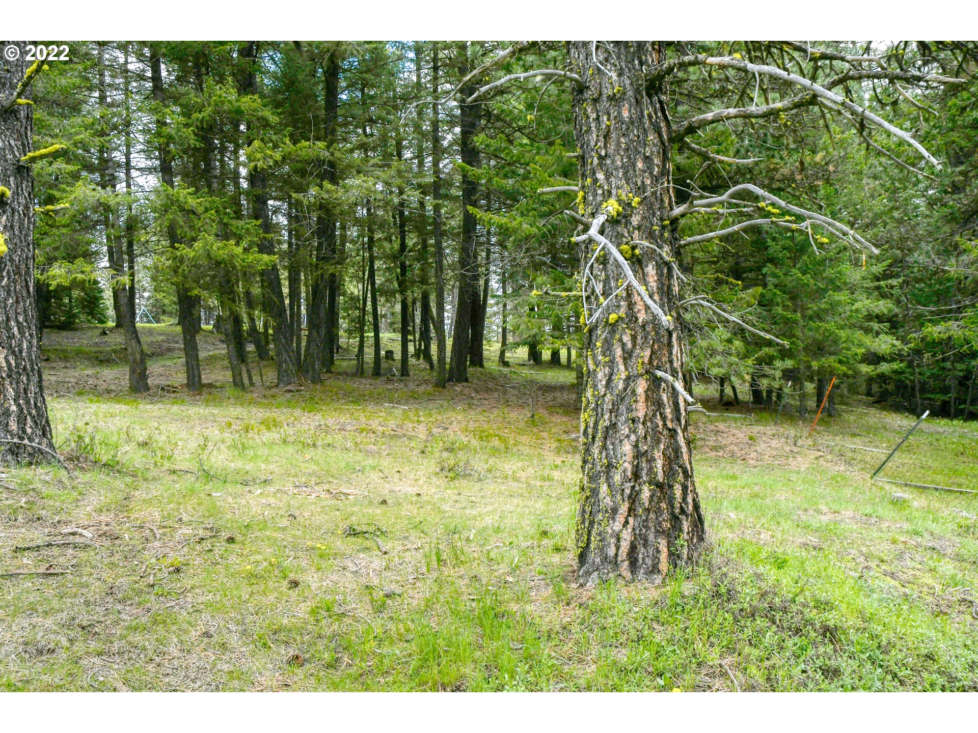 69171 Forest Service 3030 Road Meacham, OR 97859 - Photo 18 of 32