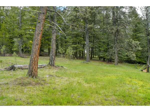 $175,000 | 69171 Forest Service 3030 Road, Meacham, OR 97859