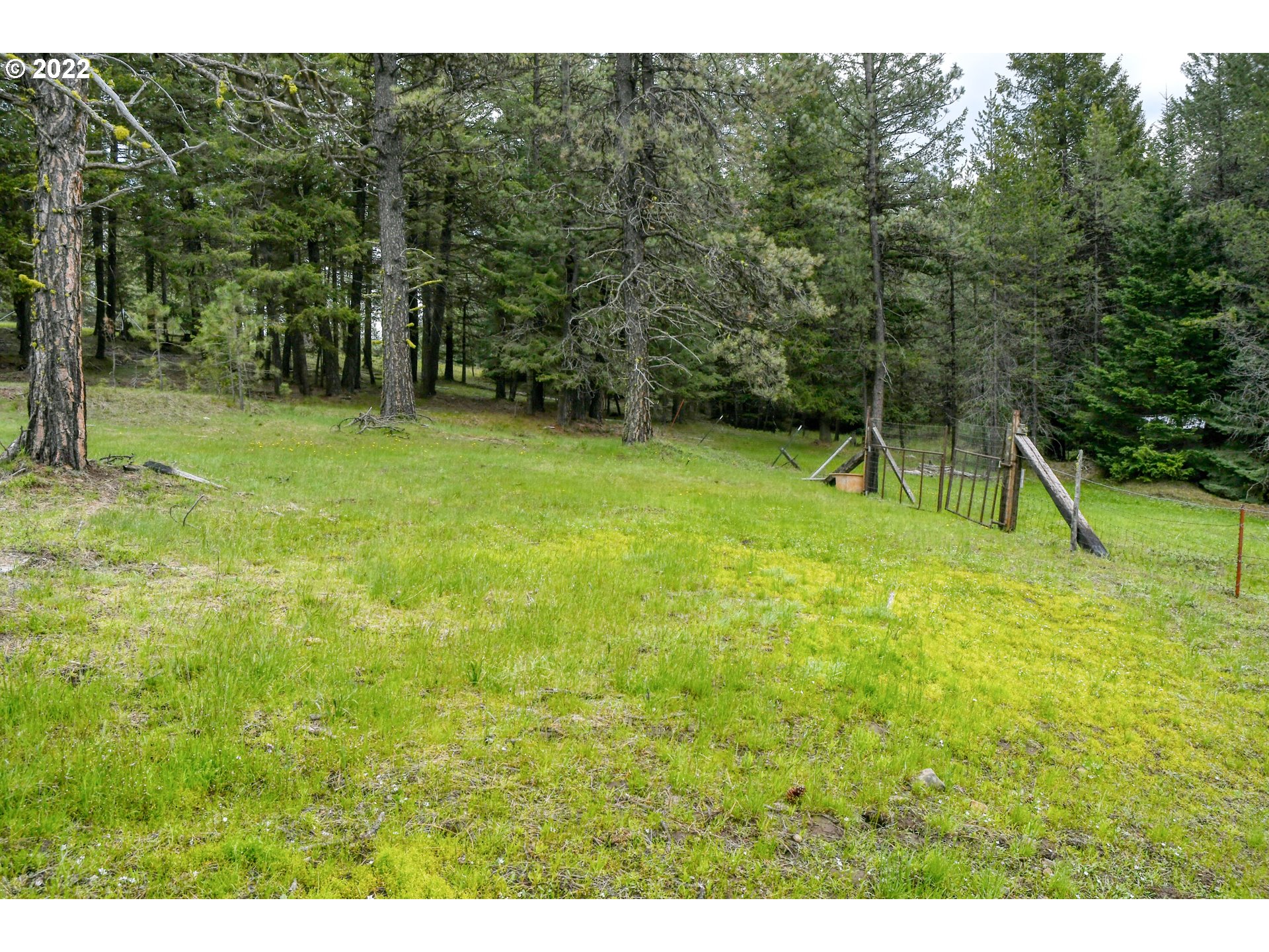 69171 Forest Service 3030 Road Meacham, OR 97859 - Photo 20 of 32