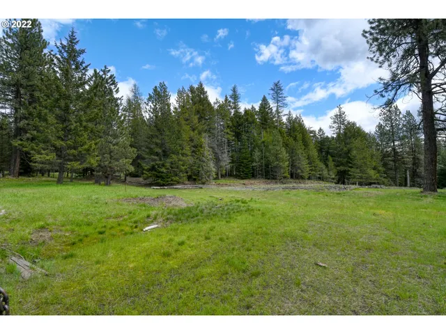 $175,000 | 69171 Forest Service 3030 Road, Meacham, OR 97859