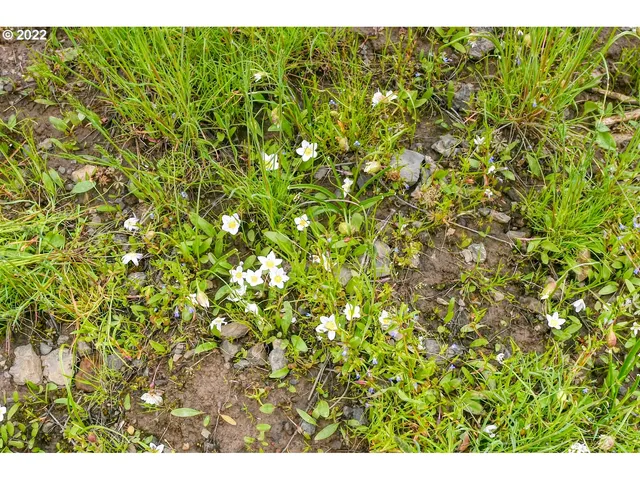 $175,000 | 69171 Forest Service 3030 Road, Meacham, OR 97859