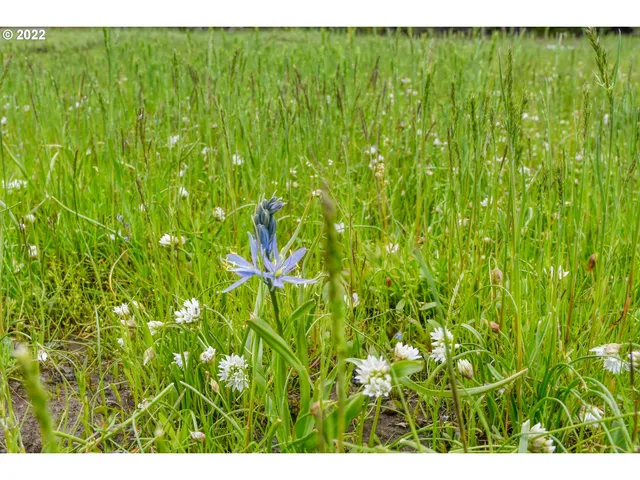 $175,000 | 69171 Forest Service 3030 Road, Meacham, OR 97859