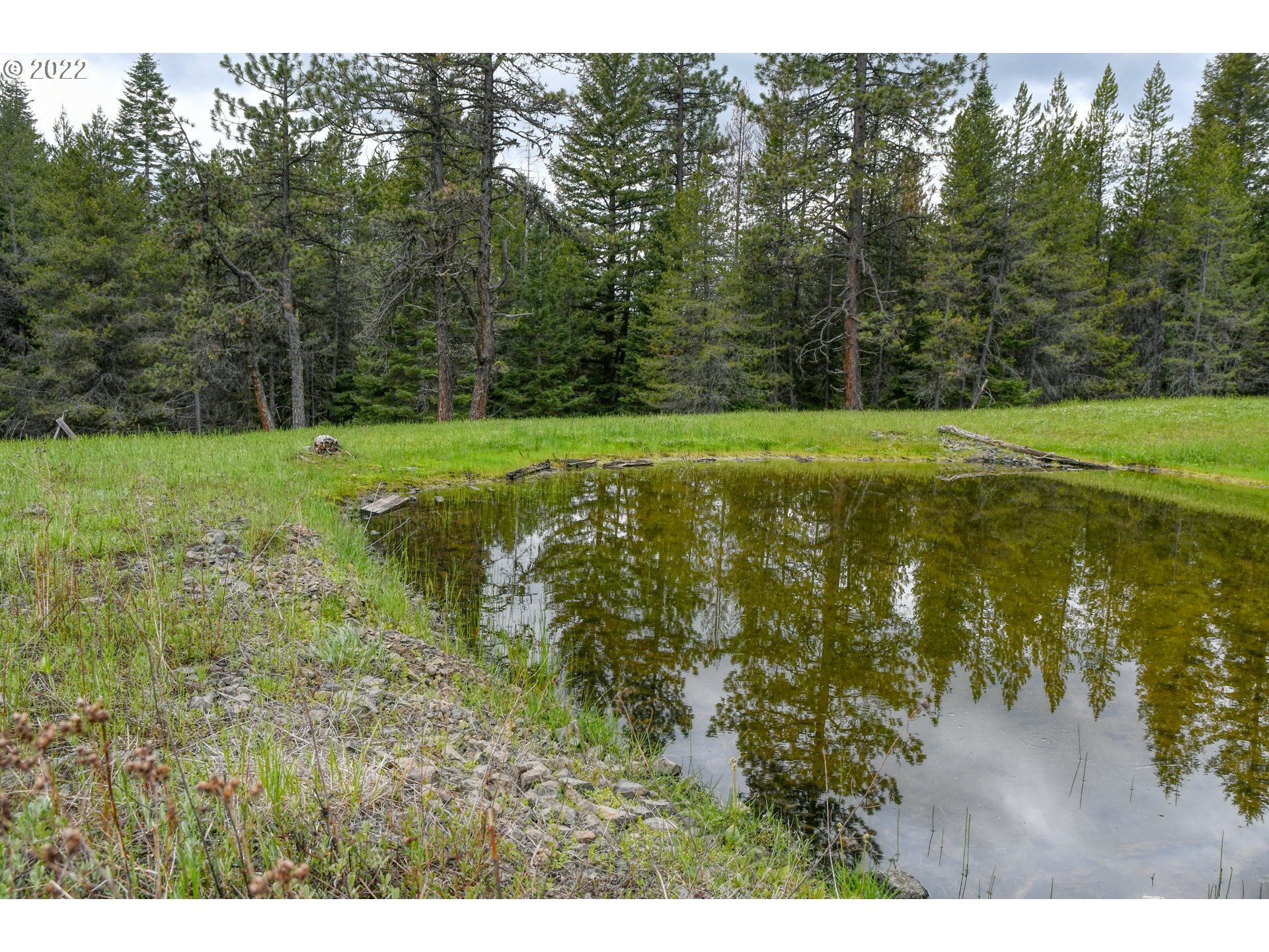 69171 Forest Service 3030 Road Meacham, OR 97859 - Photo 23 of 32