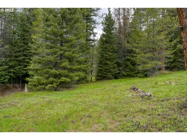 $175,000 | 69171 Forest Service 3030 Road, Meacham, OR 97859
