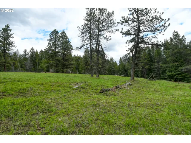 $175,000 | 69171 Forest Service 3030 Road, Meacham, OR 97859