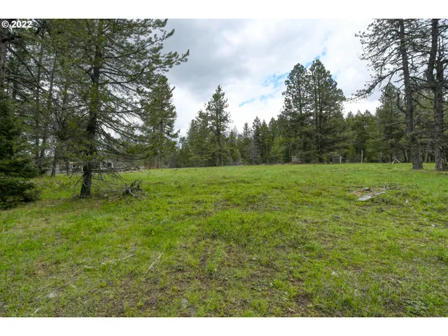 $175,000 | 69171 Forest Service 3030 Road, Meacham, OR 97859
