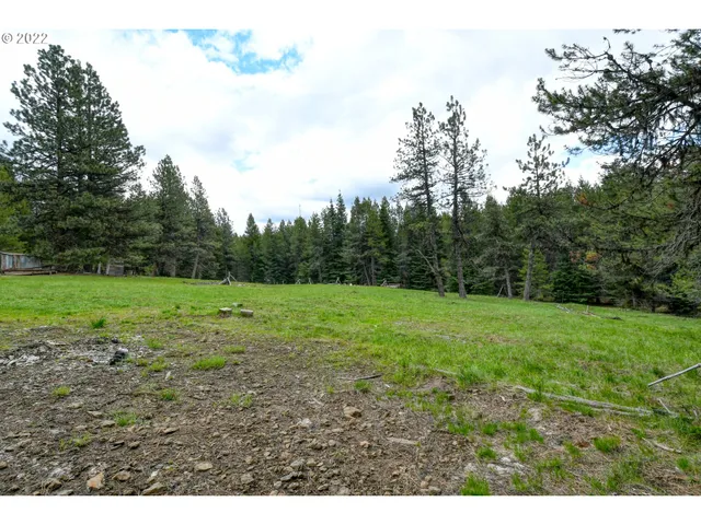 $175,000 | 69171 Forest Service 3030 Road, Meacham, OR 97859