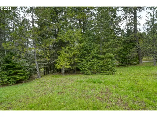 $175,000 | 69171 Forest Service 3030 Road, Meacham, OR 97859
