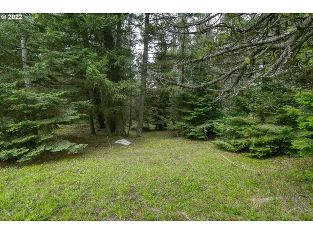 $175,000 | 69171 Forest Service 3030 Road, Meacham, OR 97859