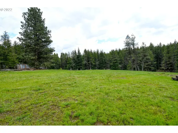 $175,000 | 69171 Forest Service 3030 Road, Meacham, OR 97859
