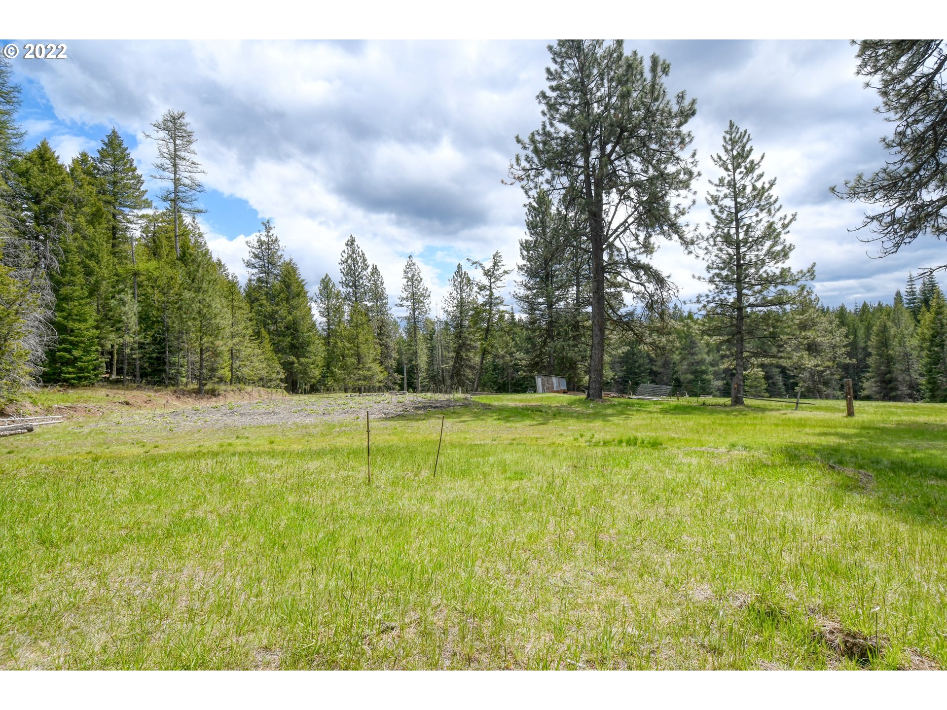 69171 Forest Service 3030 Road Meacham, OR 97859 - Photo 3 of 32