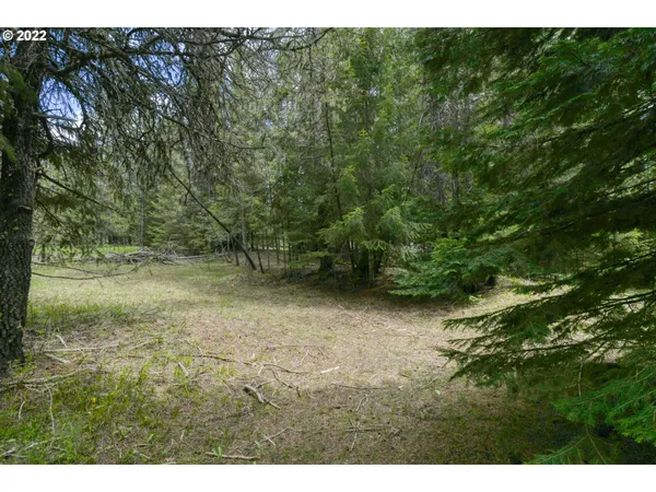 $175,000 | 69171 Forest Service 3030 Road, Meacham, OR 97859