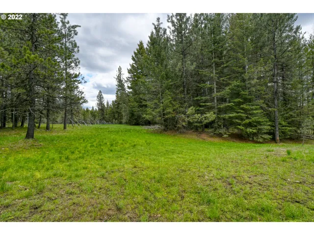 $175,000 | 69171 Forest Service 3030 Road, Meacham, OR 97859