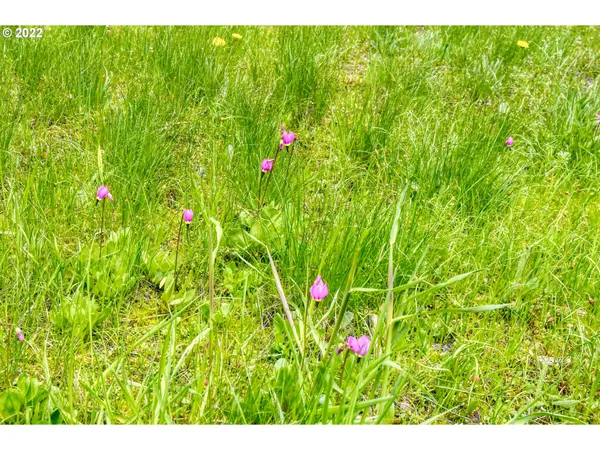 $175,000 | 69171 Forest Service 3030 Road, Meacham, OR 97859