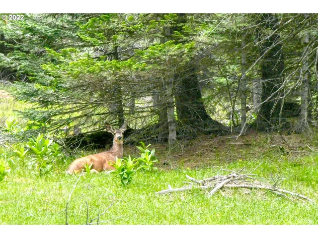 $175,000 | 69171 Forest Service 3030 Road, Meacham, OR 97859