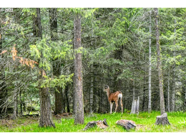 $175,000 | 69171 Forest Service 3030 Road, Meacham, OR 97859