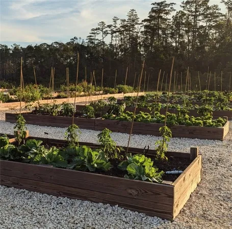 $695,000 | 29 Standing Garden Lane, Folkston, GA 31537