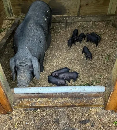 $695,000 | 29 Standing Garden Lane, Folkston, GA 31537