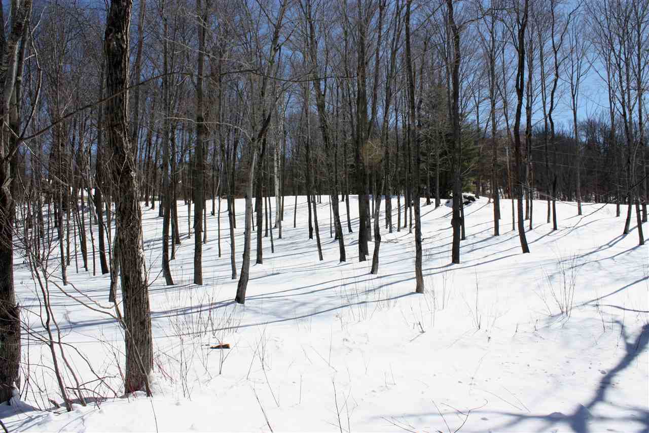 0 Gulf Road Woodstock, VT 05091 - Photo 4 of 14