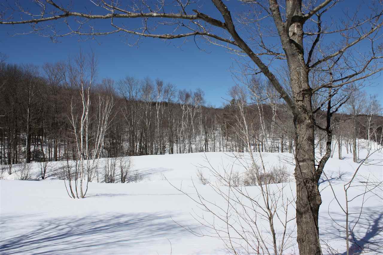 0 Gulf Road Woodstock, VT 05091 - Photo 10 of 14
