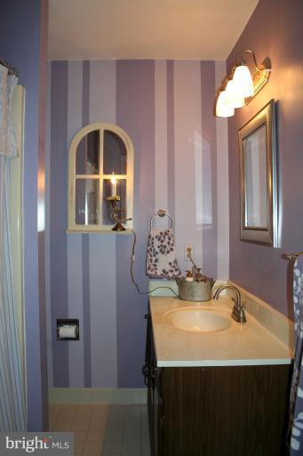 3005 Jackson Ridge Court Phoenix, MD 21131 - Photo 3 of 22 a bathroom with a sink and a mirror