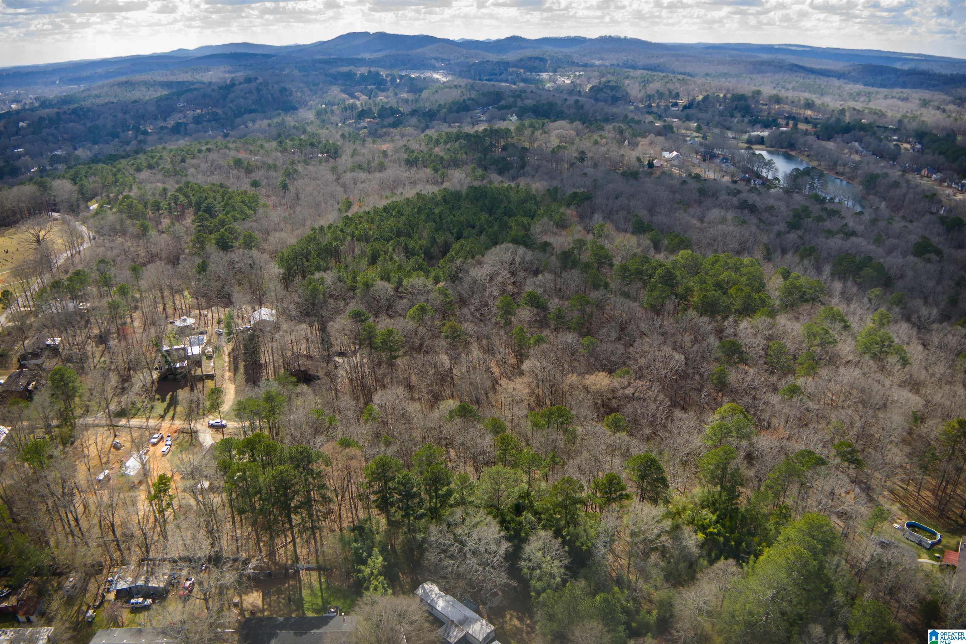 0 Norman Street Springville, AL 35146 - Photo 5 of 15