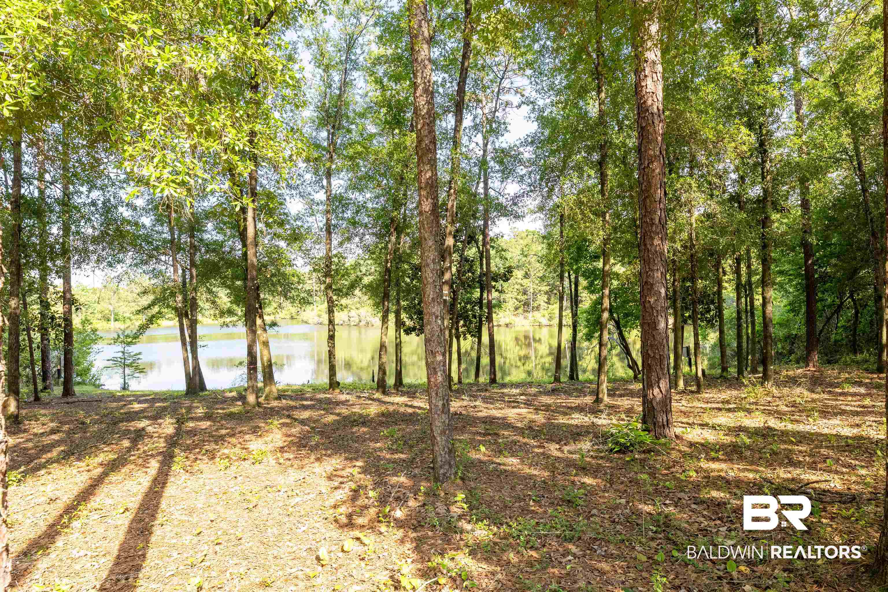8295 Brackett Lane Semmes, AL 36575 - Photo 42 of 49