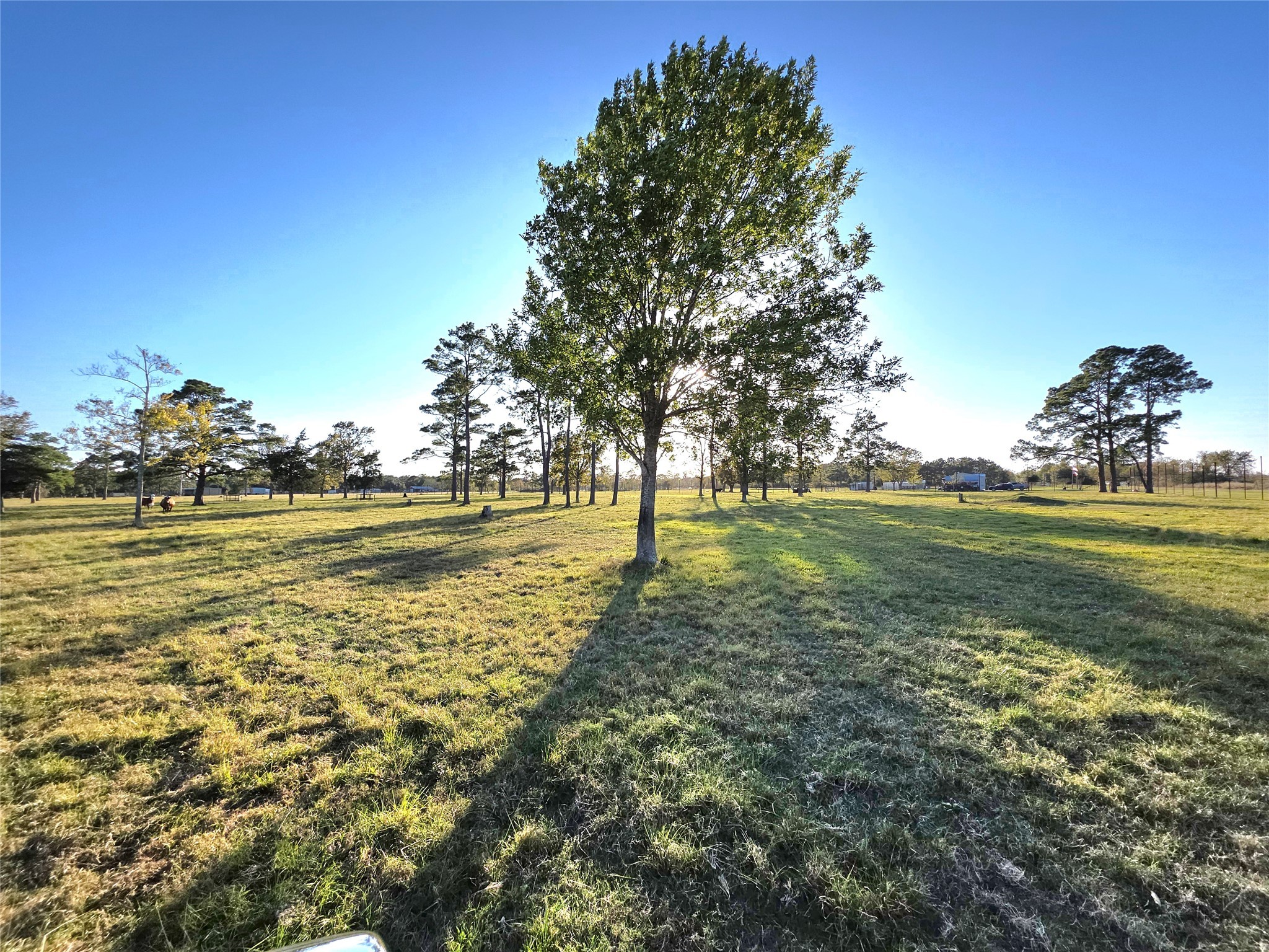 730 County Road 6610 Dayton, TX 77535 - Photo 11 of 14 a view of a green field