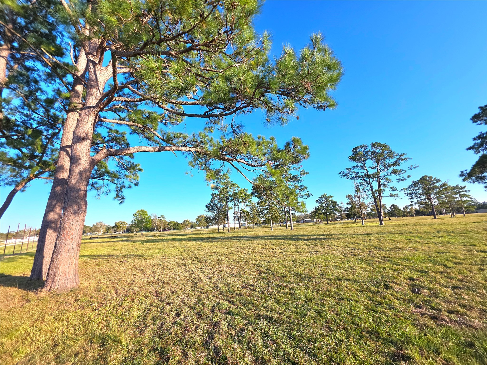 730 County Road 6610 Dayton, TX 77535 - Photo 3 of 14 a view of ocean view