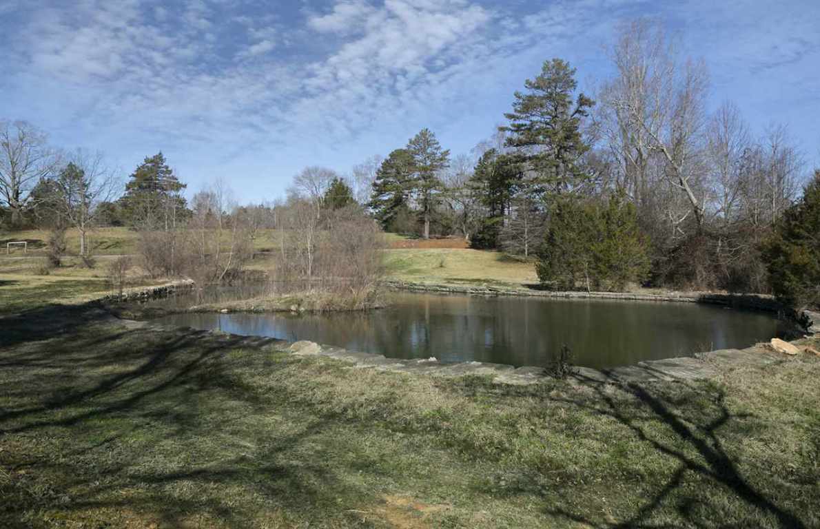 149 Watson Road Pickens, SC 29671 - Photo 5 of 36