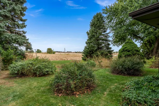 a view of a large yard with lots of green space and plants