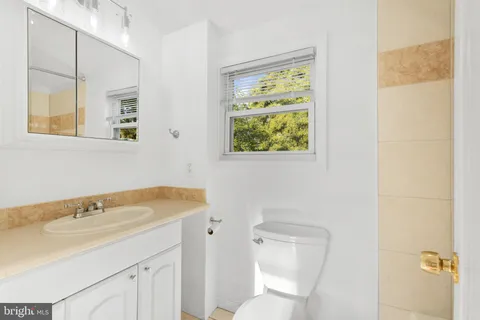 a bathroom with a sink and a toilet